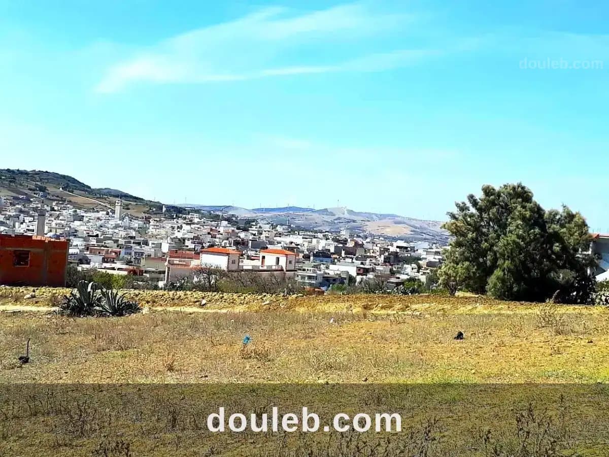 Terrain 800 m2 a rafraf - Miniature 5