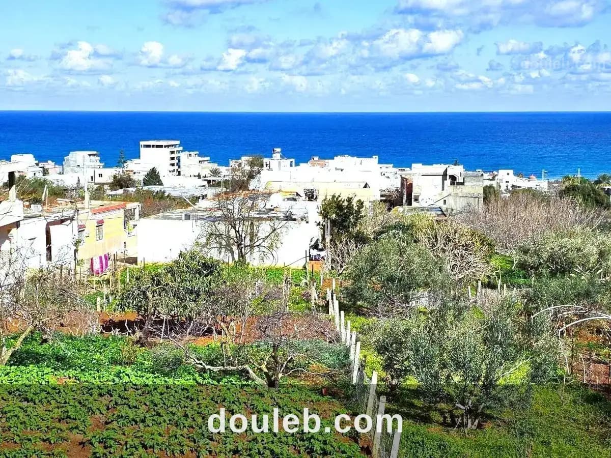 Terrain 1060 m2 rafraf plage lahmeri - Miniature 4
