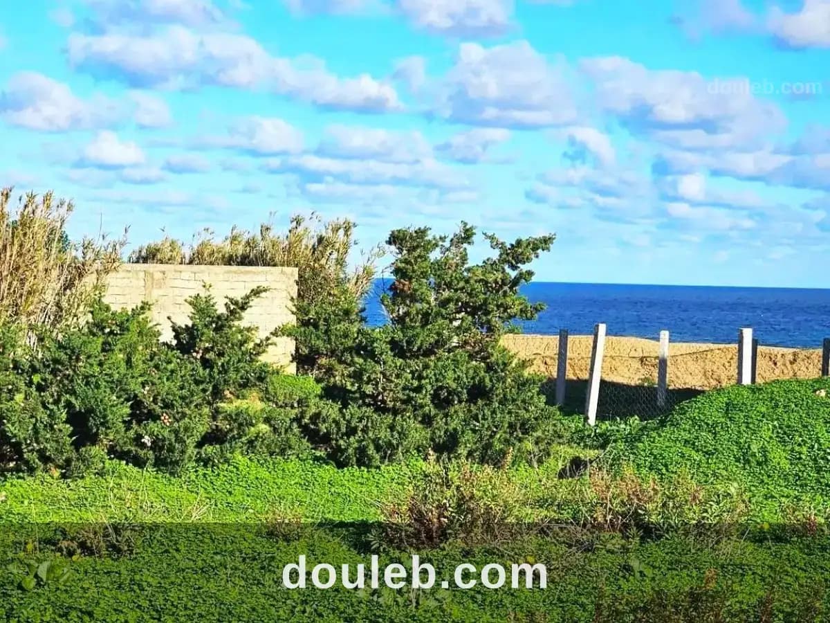 Terrain 1050 m2 rafraf plage ain mestir - Miniature 5