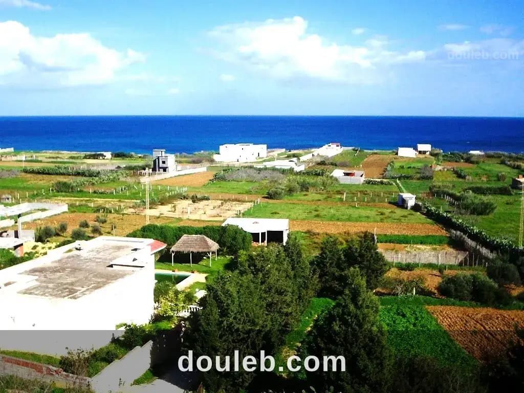 Terrain 600 m2 rafraf plage - Miniature 3