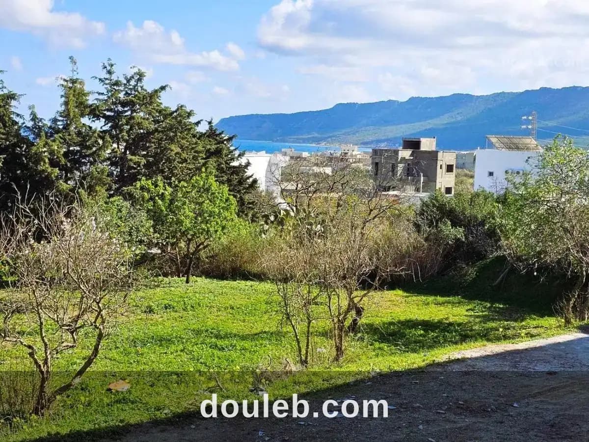 Terrain 600 m2 rafraf plage - Miniature 4
