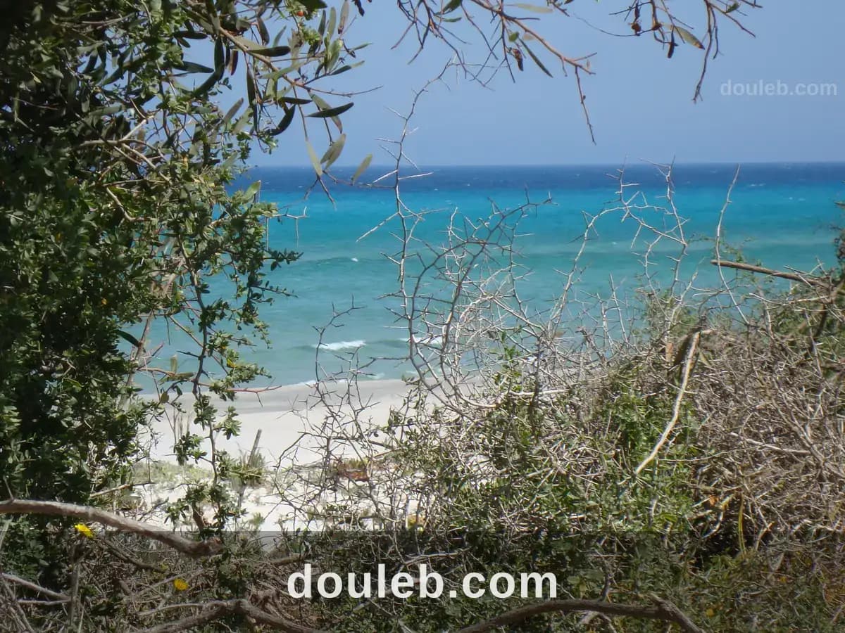 Investir au bord de la mer - Photo 1