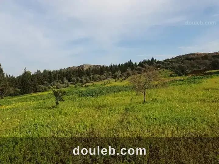 Grande villa à sidi thabet - Photo 1