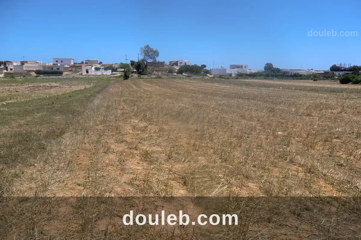 Lotisement 80dt le m2 - Photo 1
