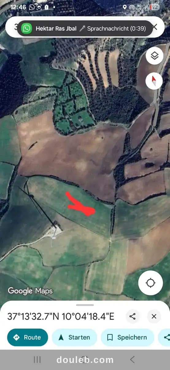 Terrain 1 hectare à ras jebal bizerte - Miniature 2