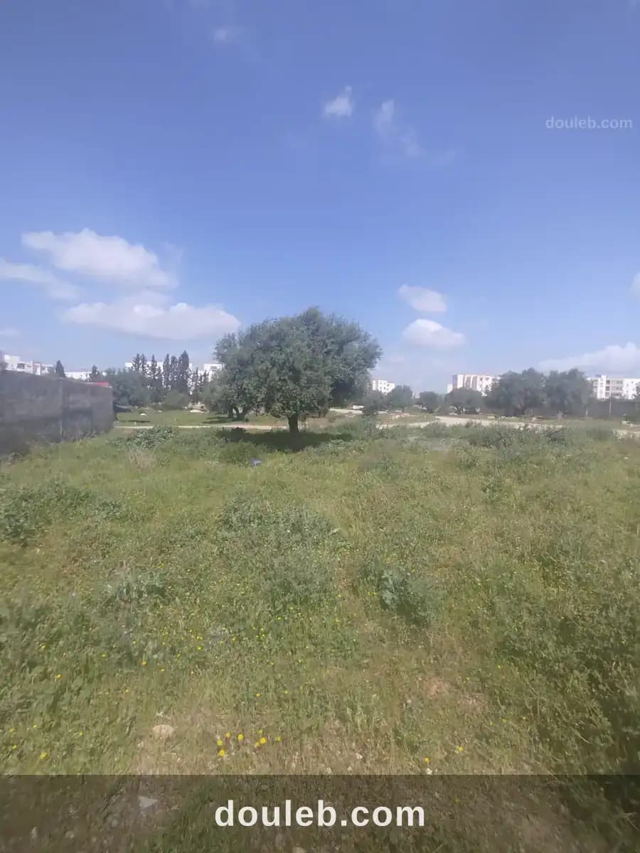 Un lot de terrain de 460m2 à mannouba - Photo 1