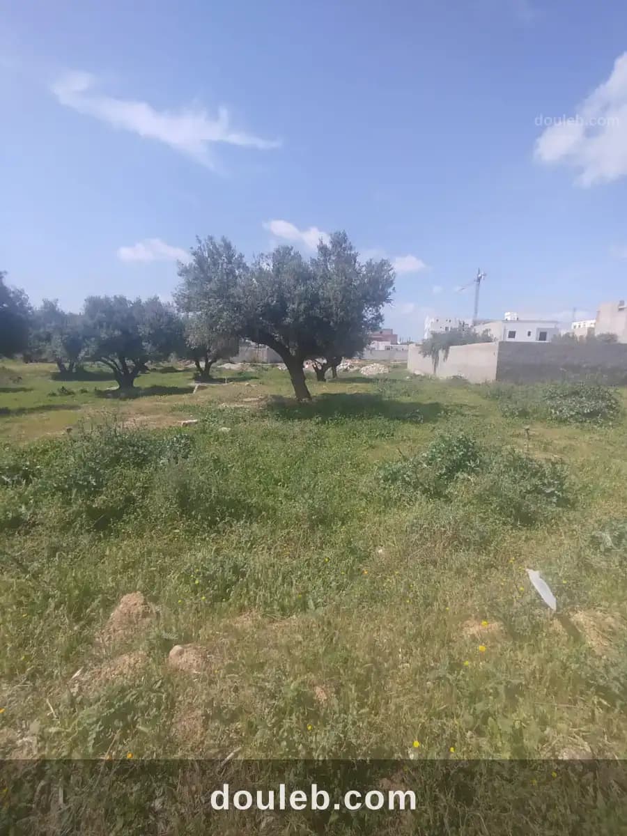 Un lot de terrain de 460m2 à mannouba - Miniature 4