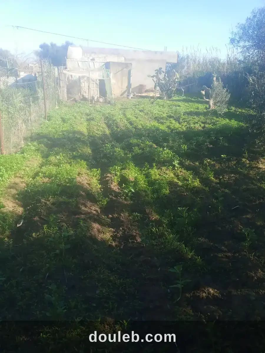 Maison a kelibia opportunité a ne pas raté - Photo 1