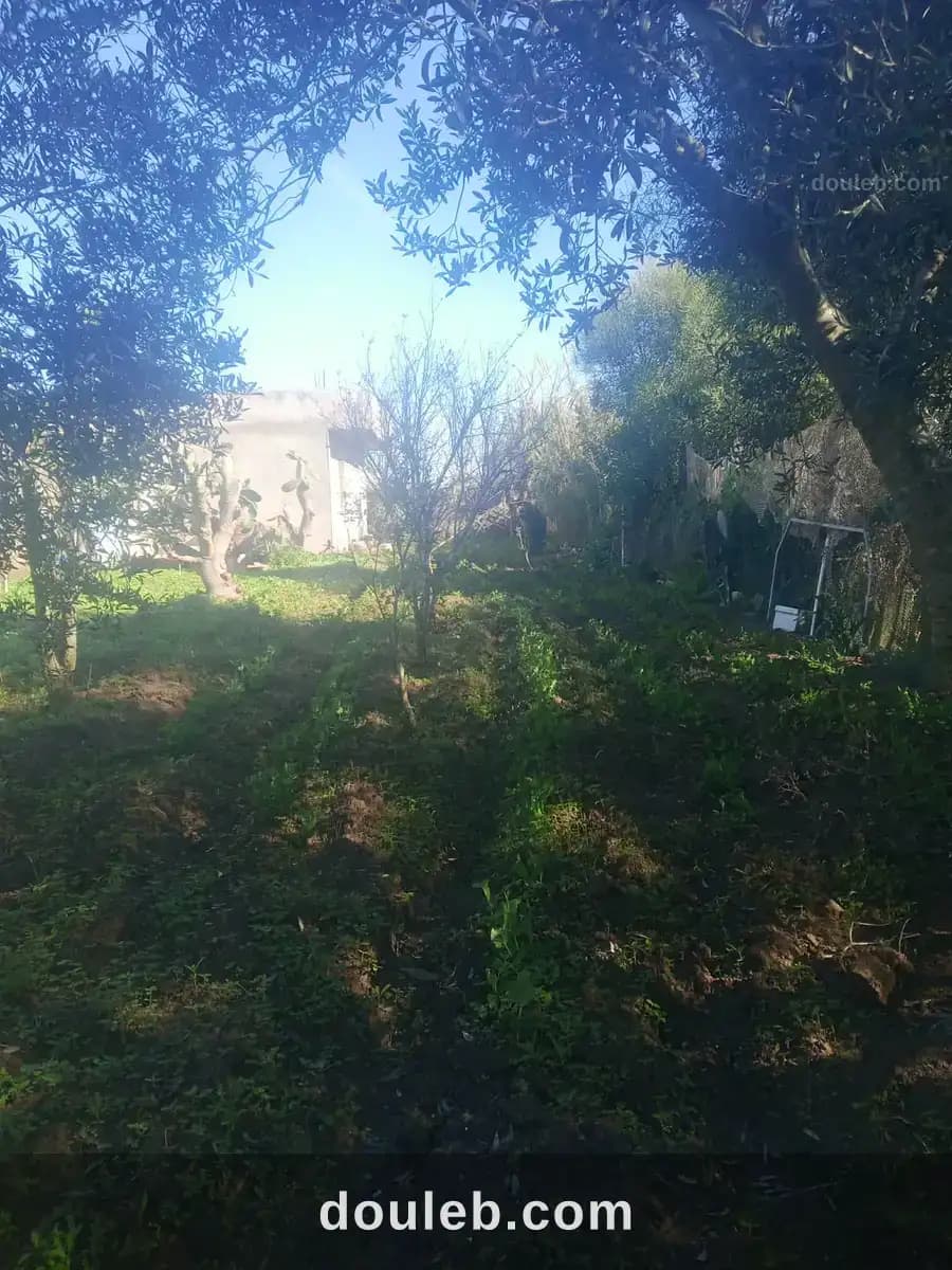 Maison a kelibia opportunité a ne pas raté - Miniature 4