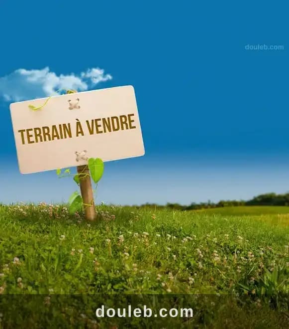 Terrain agricole à esskhira testour béja - Photo 1