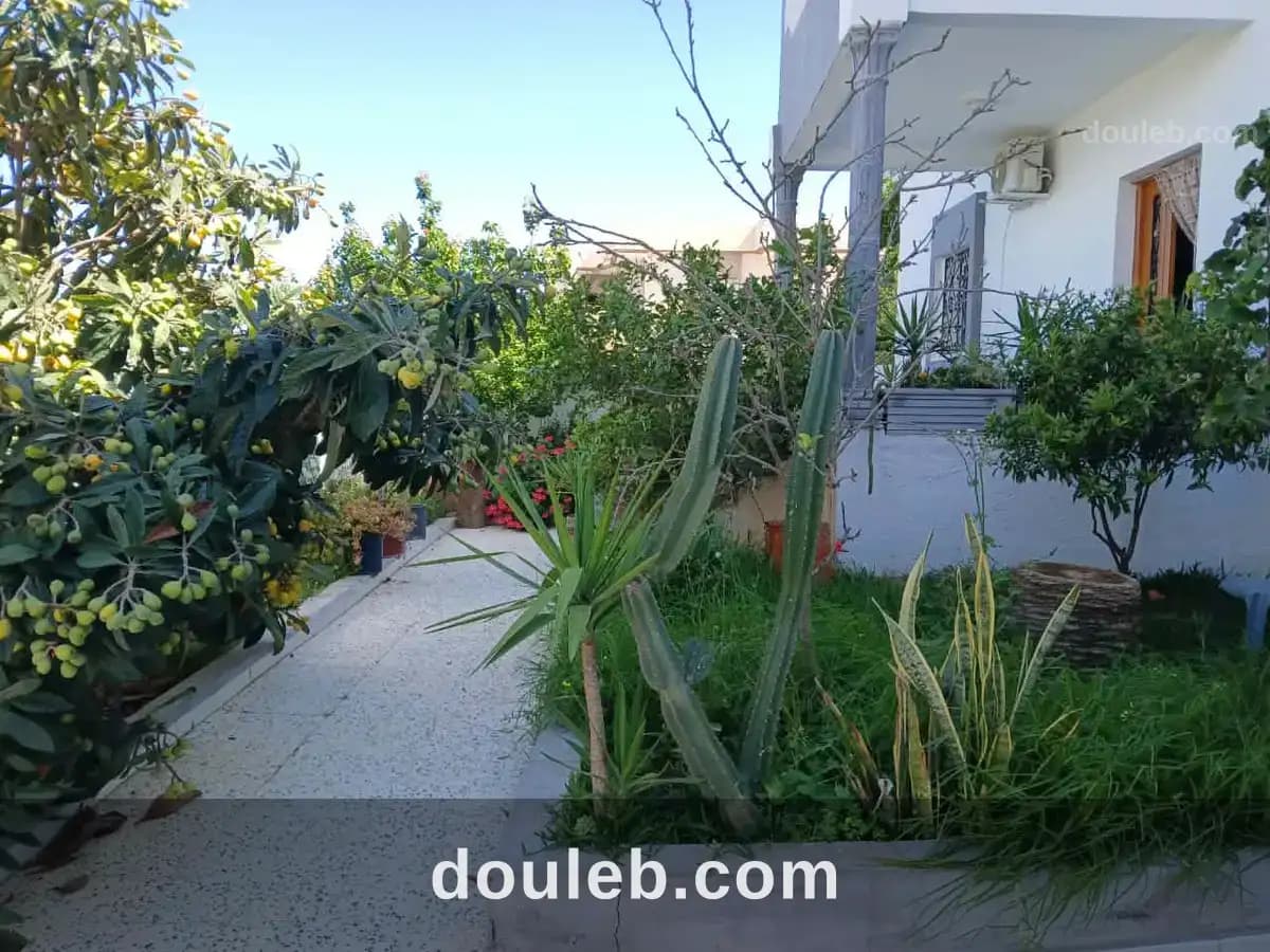 Av villa de 500m proche hammamet yasmine - Miniature 2