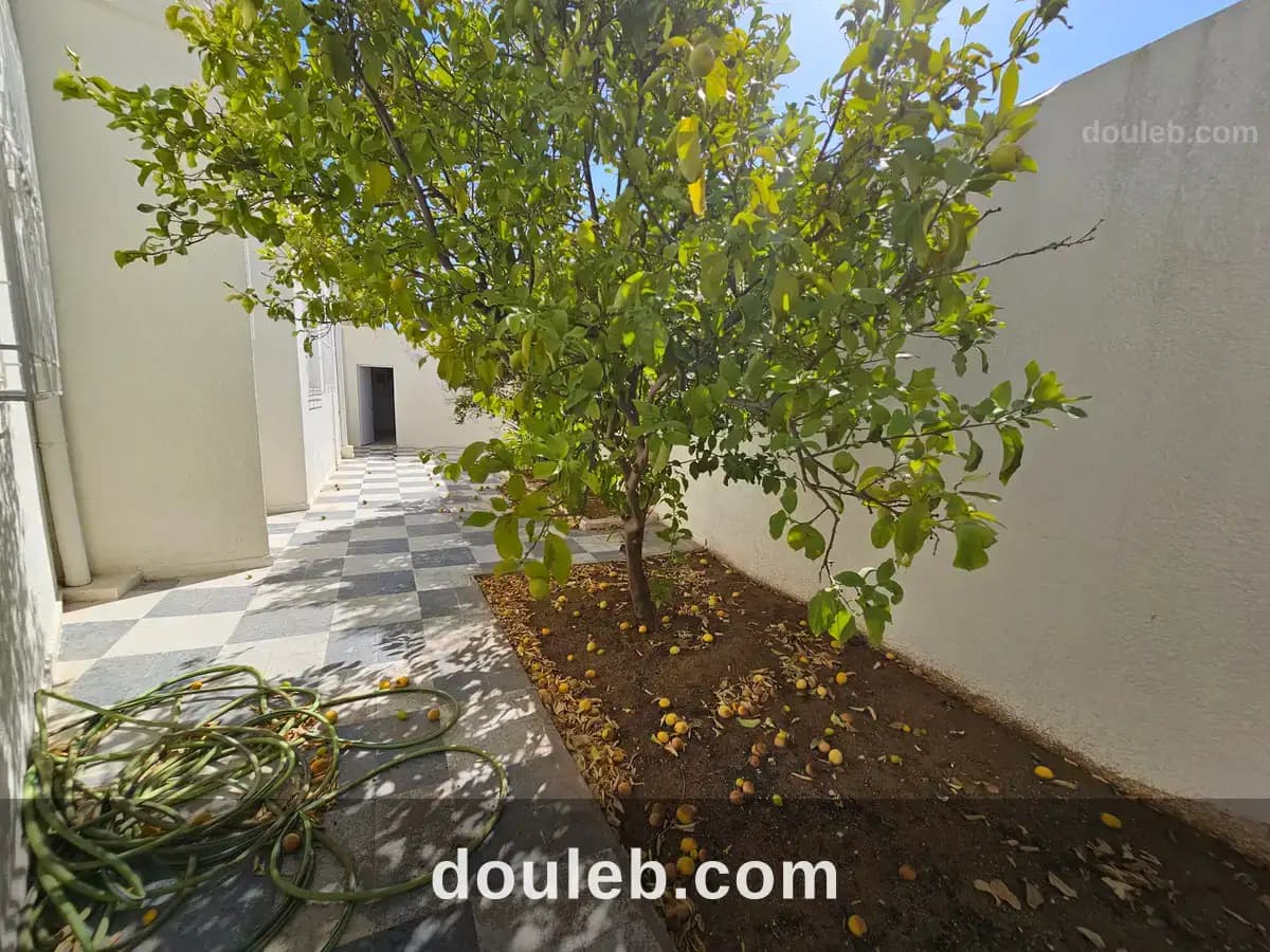Villa 730 md ghazela - Miniature 3