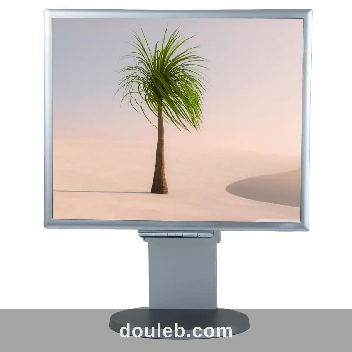 Ecran de ordinateur bureau nec - Photo 1