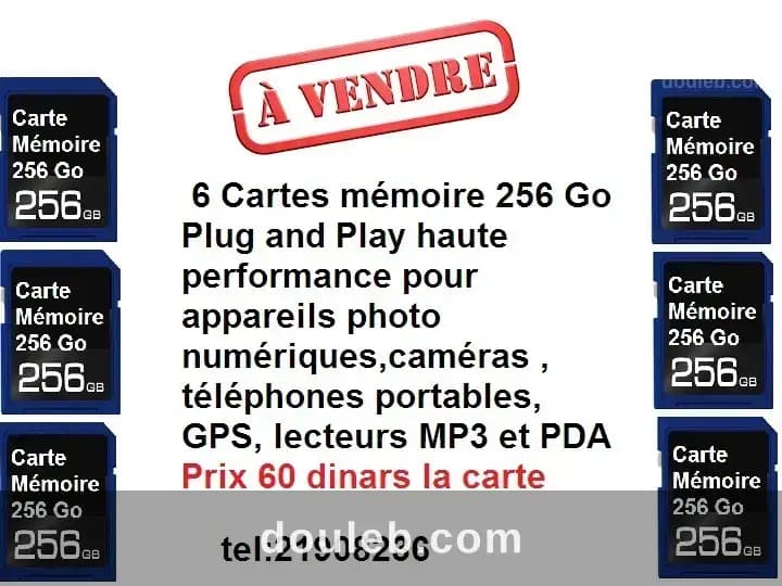 Cartes memoire 256go - Photo 1