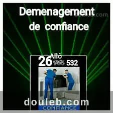 21 985172déménagement - Photo 1
