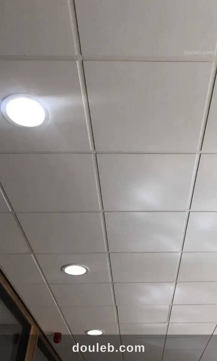 Décoration plafond - Photo 1