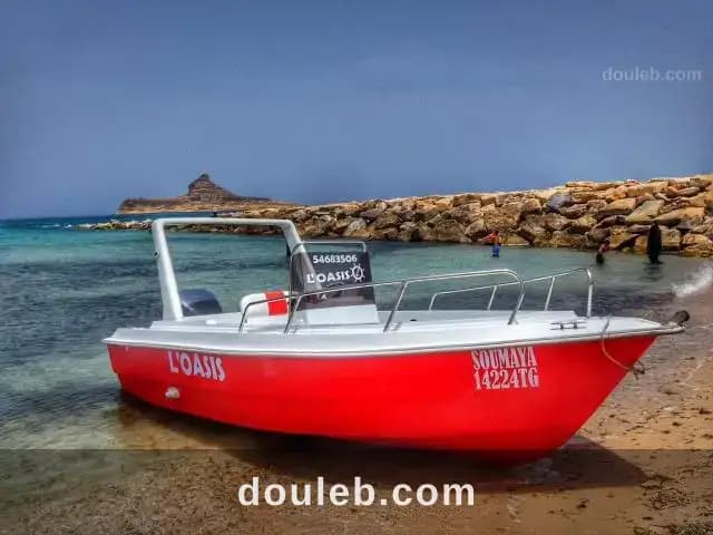 Bateaux de plaisance 7 places - Photo 1