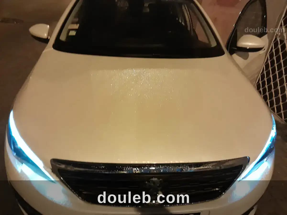 Peugeot 308 - Photo 1