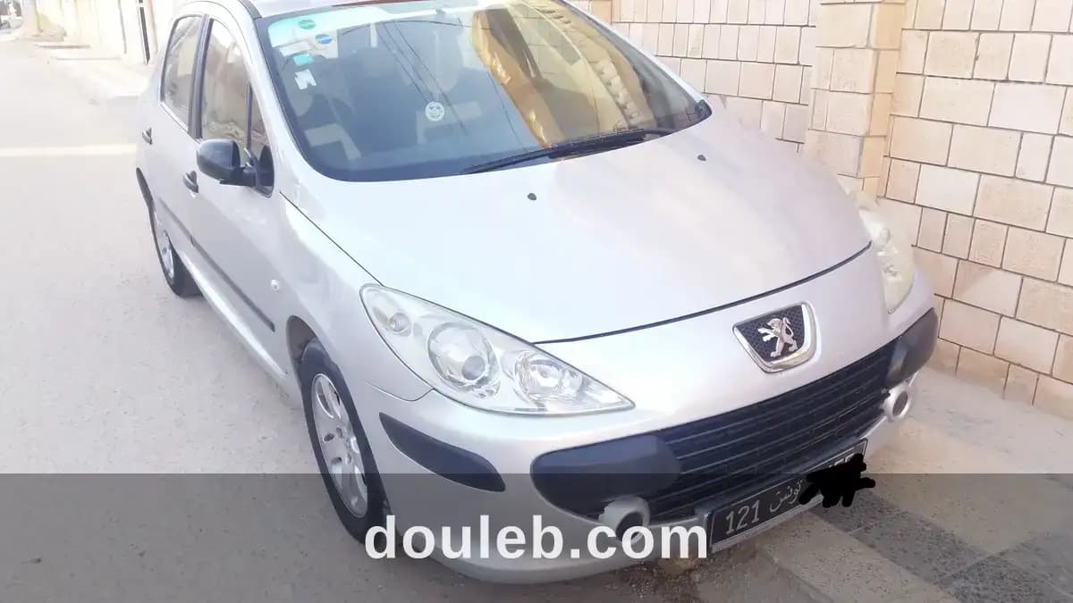 Peugeot 307 phase 2 - Miniature 2