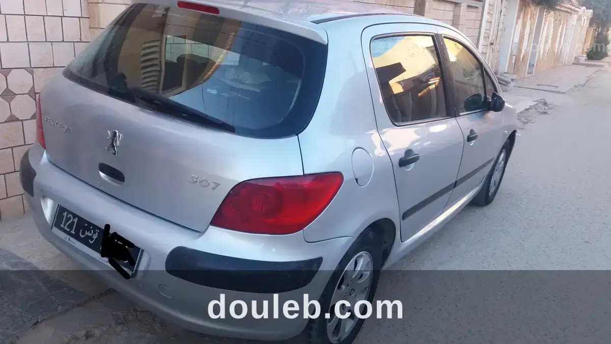 Peugeot 307 phase 2 - Miniature 3