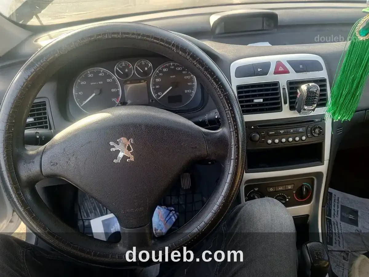 Peugeot 307 phase 2 - Miniature 4