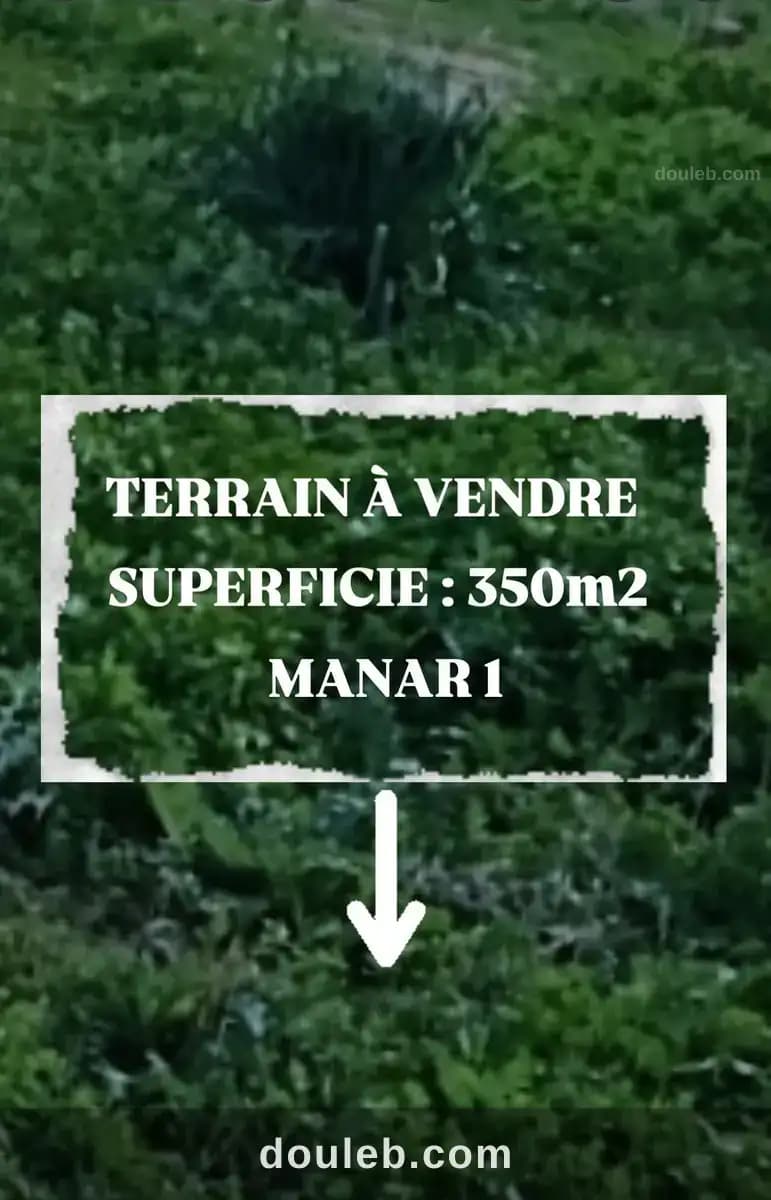 Terrain 420 md manar 1 - Photo 1