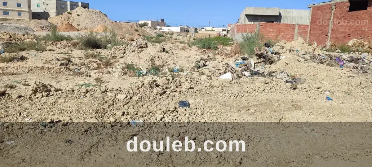 Terrain à raoued sidi amor - Miniature 3