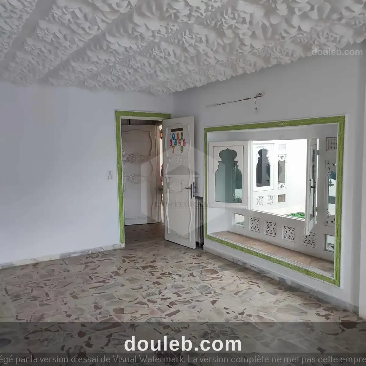 Immense villa à usage commercial avec jardin - Miniature 2
