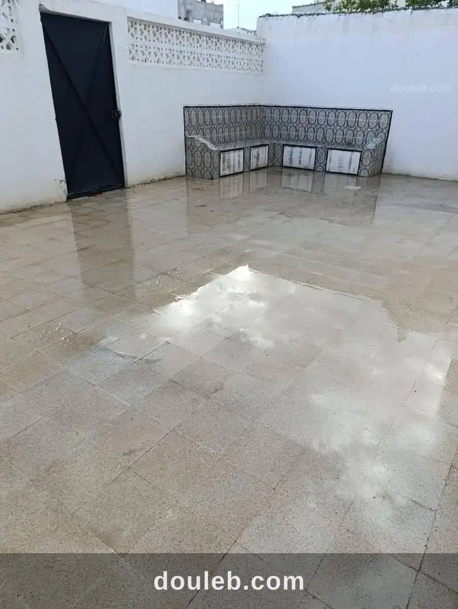 Duplex ibn sina - Miniature 2