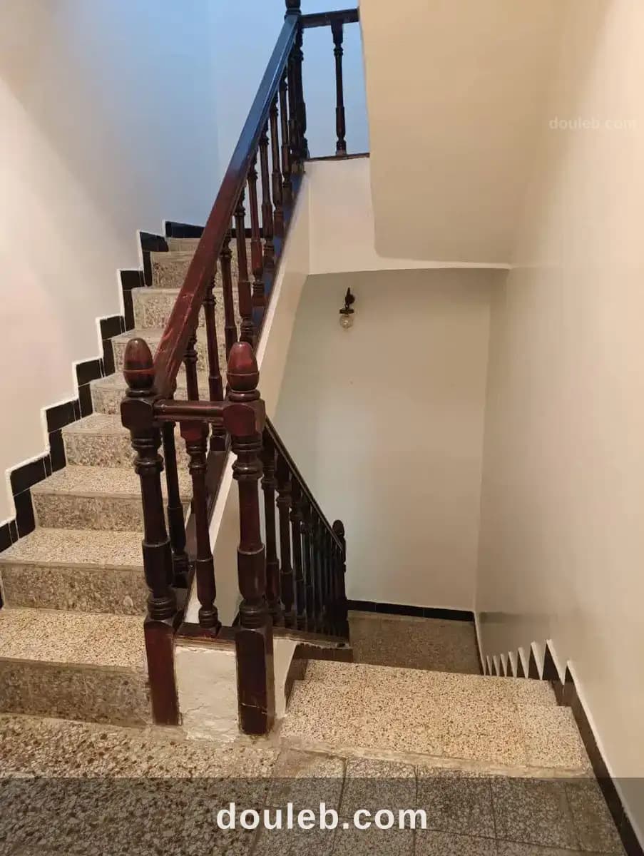 Duplex ibn sina - Miniature 4
