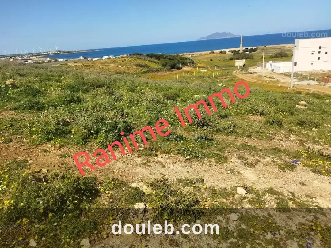 Terrain de 1520m2 a la mer el haouaria - Photo 1