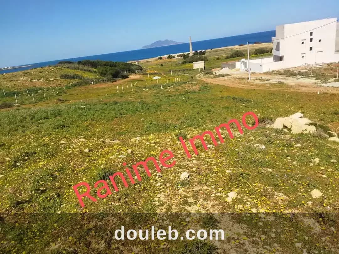 Terrain de 1520m2 a la mer el haouaria - Miniature 2