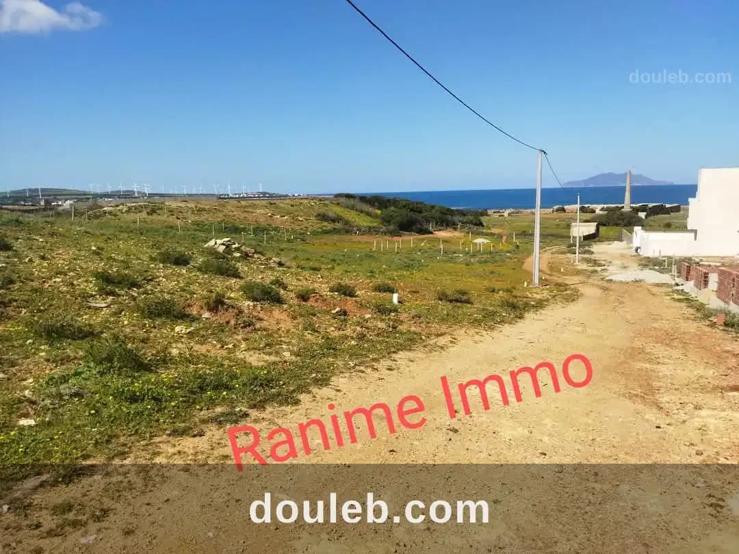 Terrain de 1520m2 a la mer el haouaria - Miniature 3