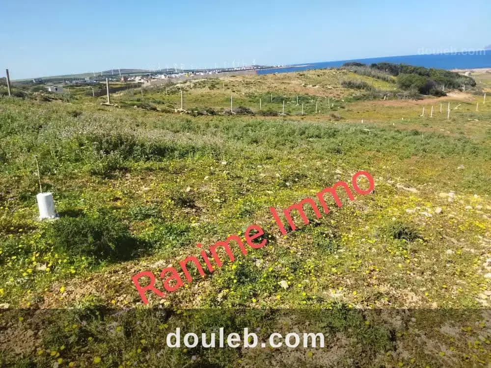 Terrain de 1520m2 a la mer el haouaria - Miniature 4