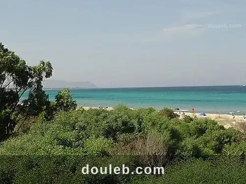 1 ha entre kelibia et dar allouche - Photo 1