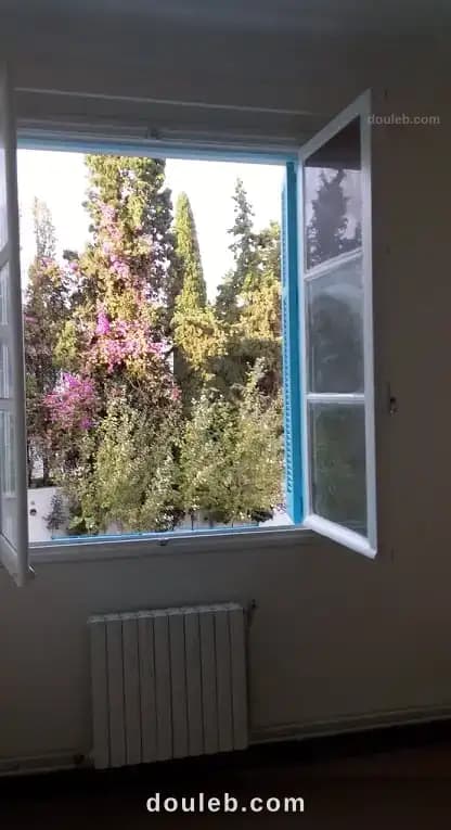 S2 meuble el menzeh1 rue el moez - Miniature 2