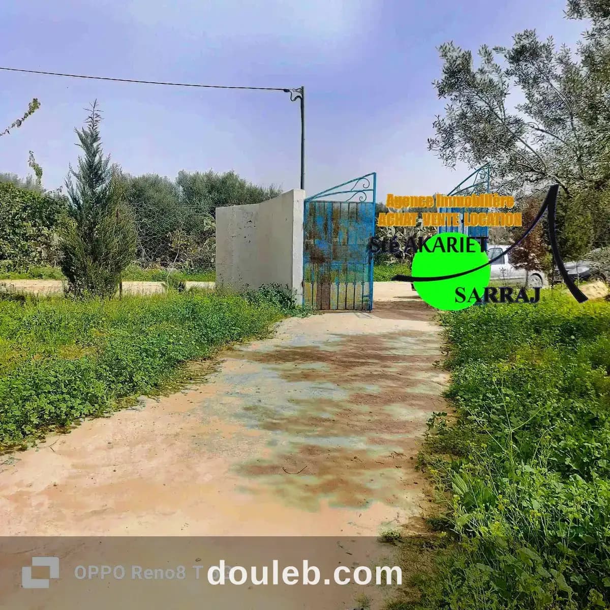 Senia 3000m prés de dar zitouna à sidi bouali - Photo 1