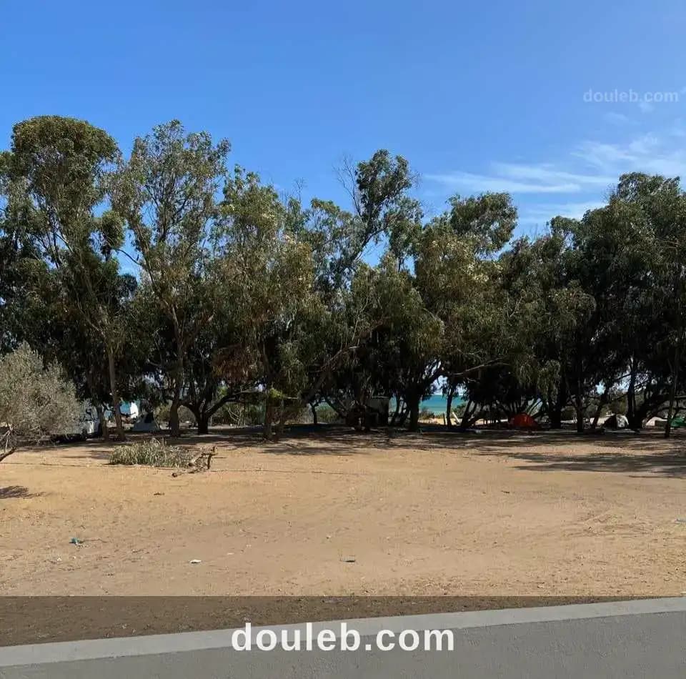 Un terrain pour investissement pres de kelibia - Photo 1