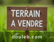 Terrain 772 m2 viabilisé riadh andalous - Photo 1