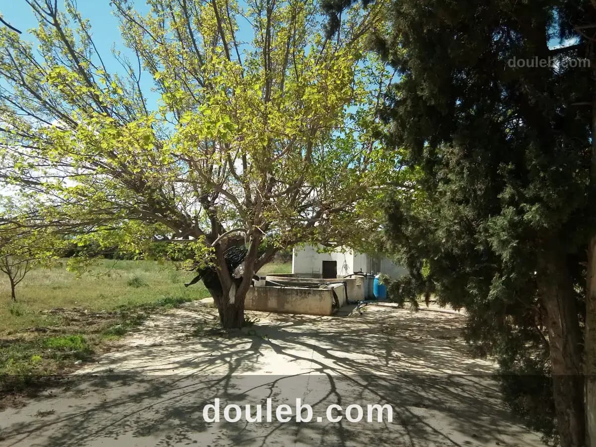Ferme à naasseen - Photo 1