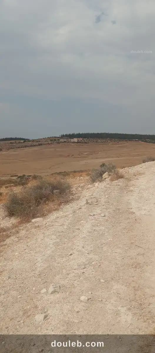 Terrain mejez el bab - Photo 1