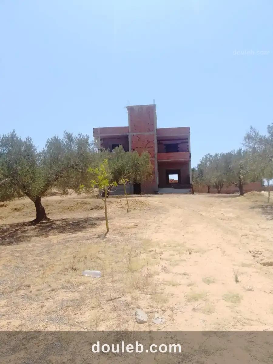 Dar kamel bou argoub - Miniature 3