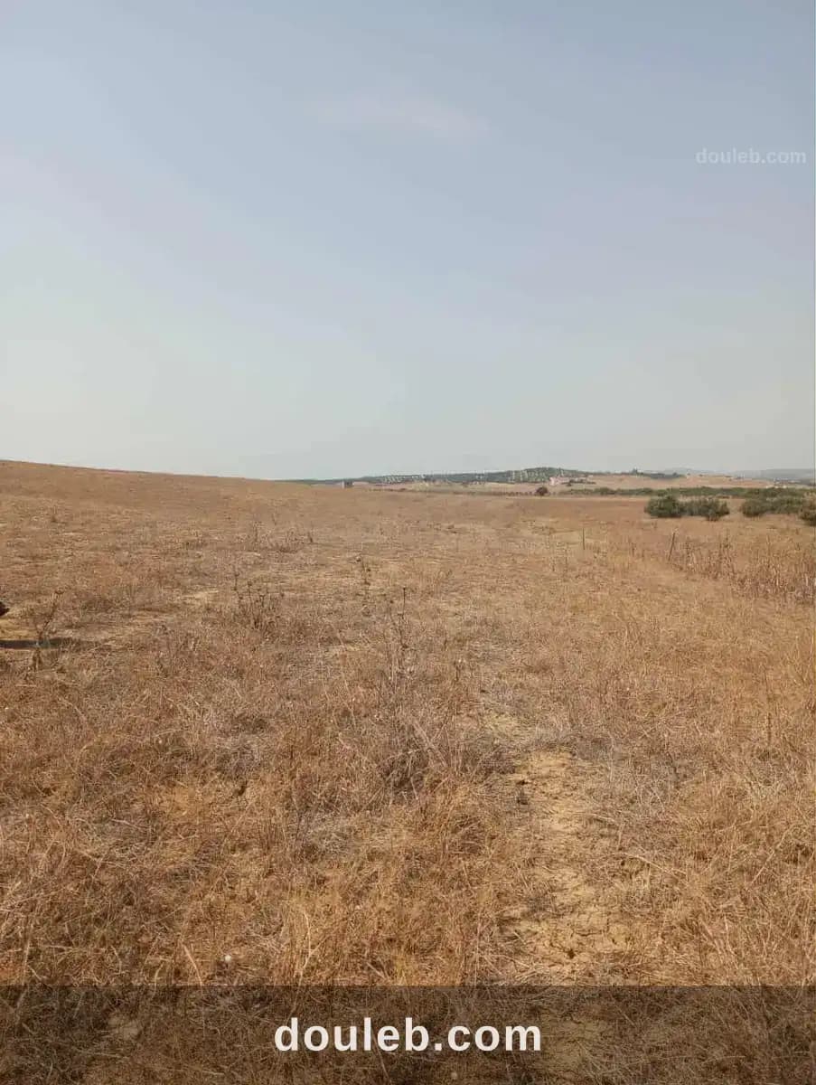 Av terrain 7 hectares route zaghouan hammamet - Photo 1