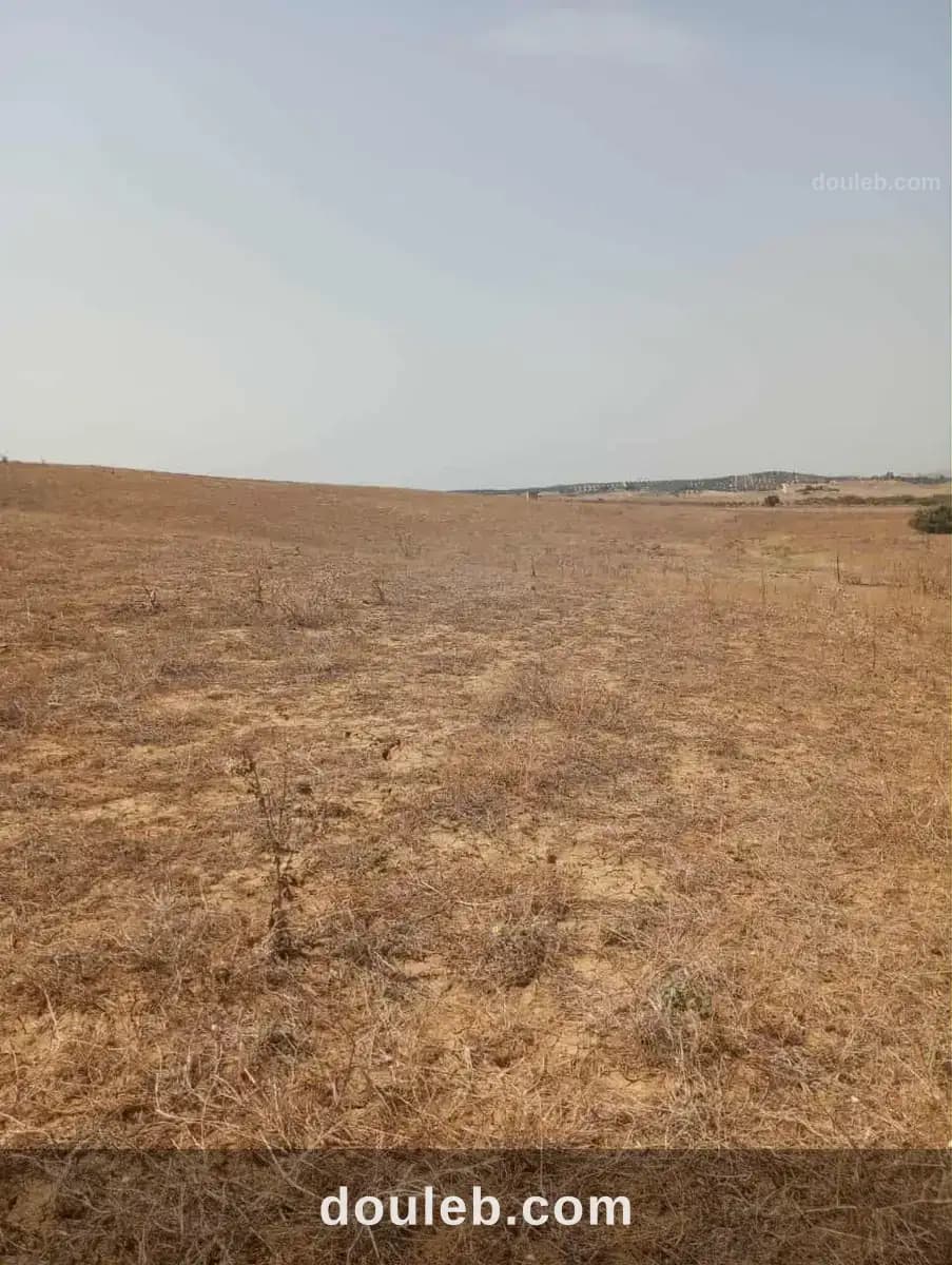 Av terrain 7 hectares route zaghouan hammamet - Miniature 2
