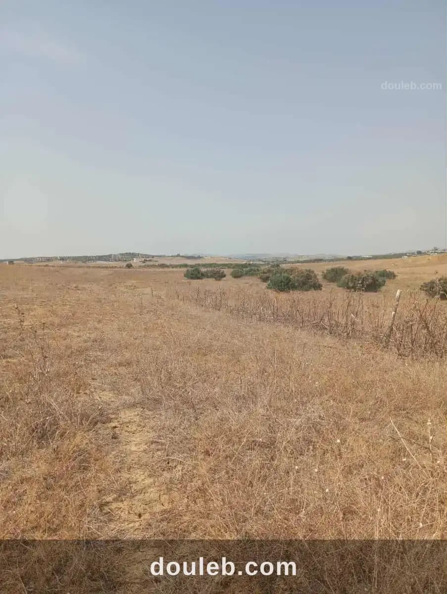 Av terrain 7 hectares route zaghouan hammamet - Miniature 3
