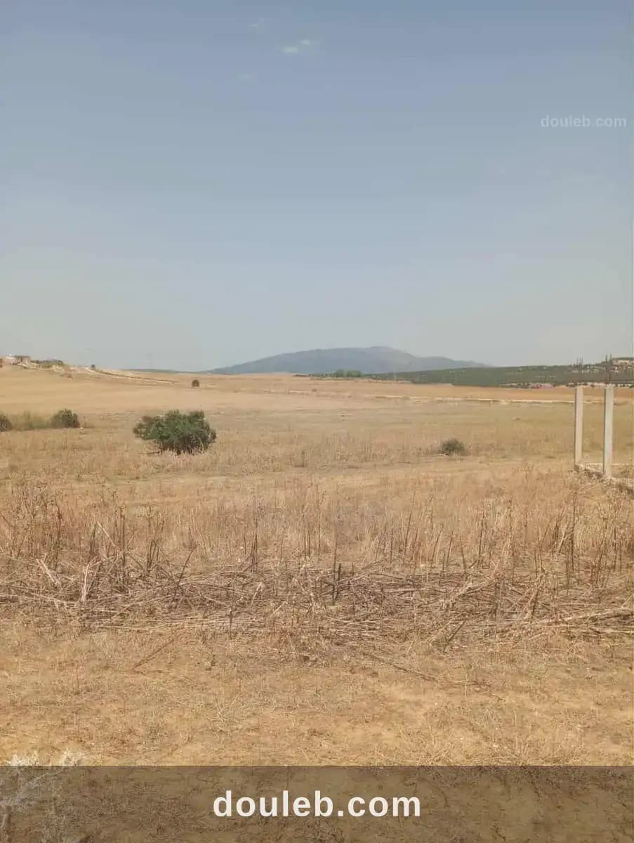 Av terrain 7 hectares route zaghouan hammamet - Miniature 4