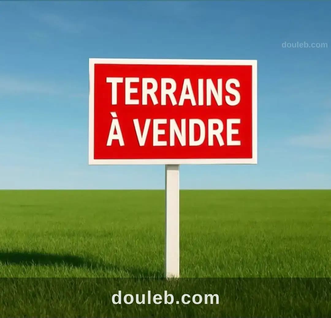 Terrain à mutuelleville - Photo 1