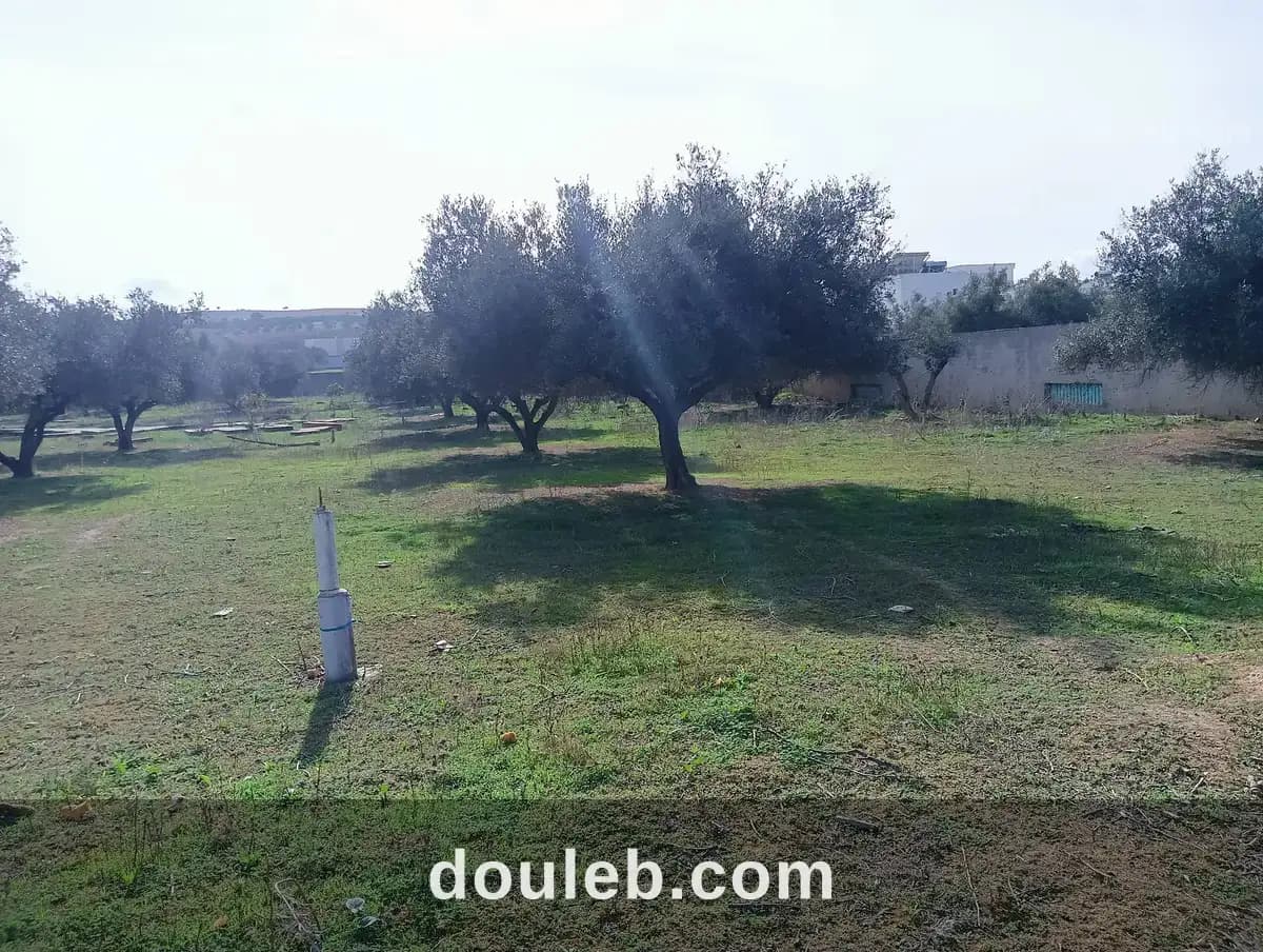 Terrain zone ennahli route bizerte - Miniature 3