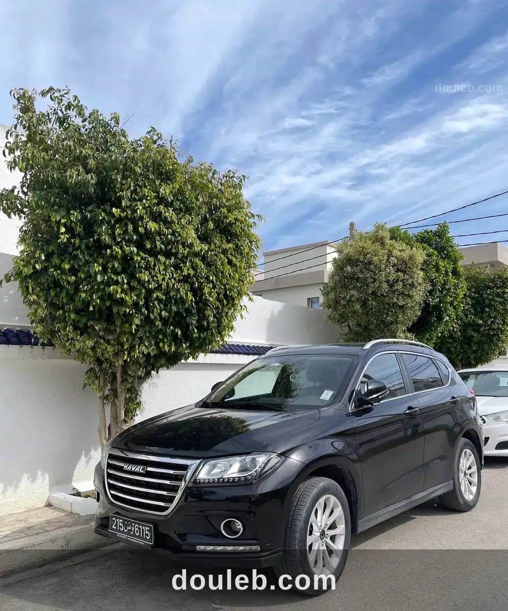 Haval h2 voiture femme medecin - Miniature 2