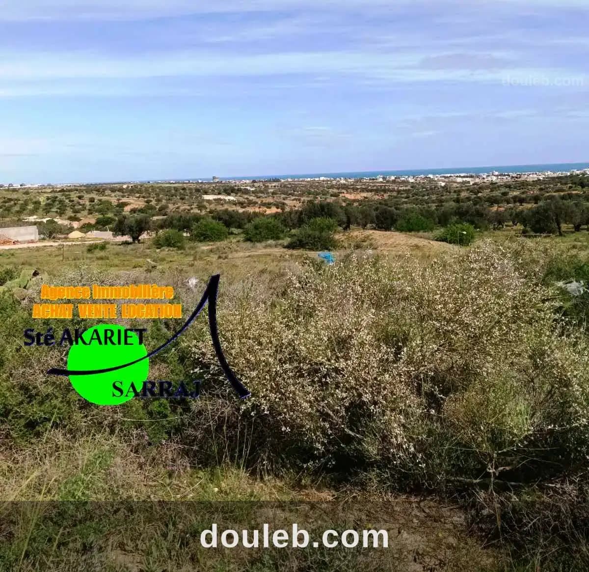 Lot d'invesstisement 1hectare en face mall sousse - Miniature 2